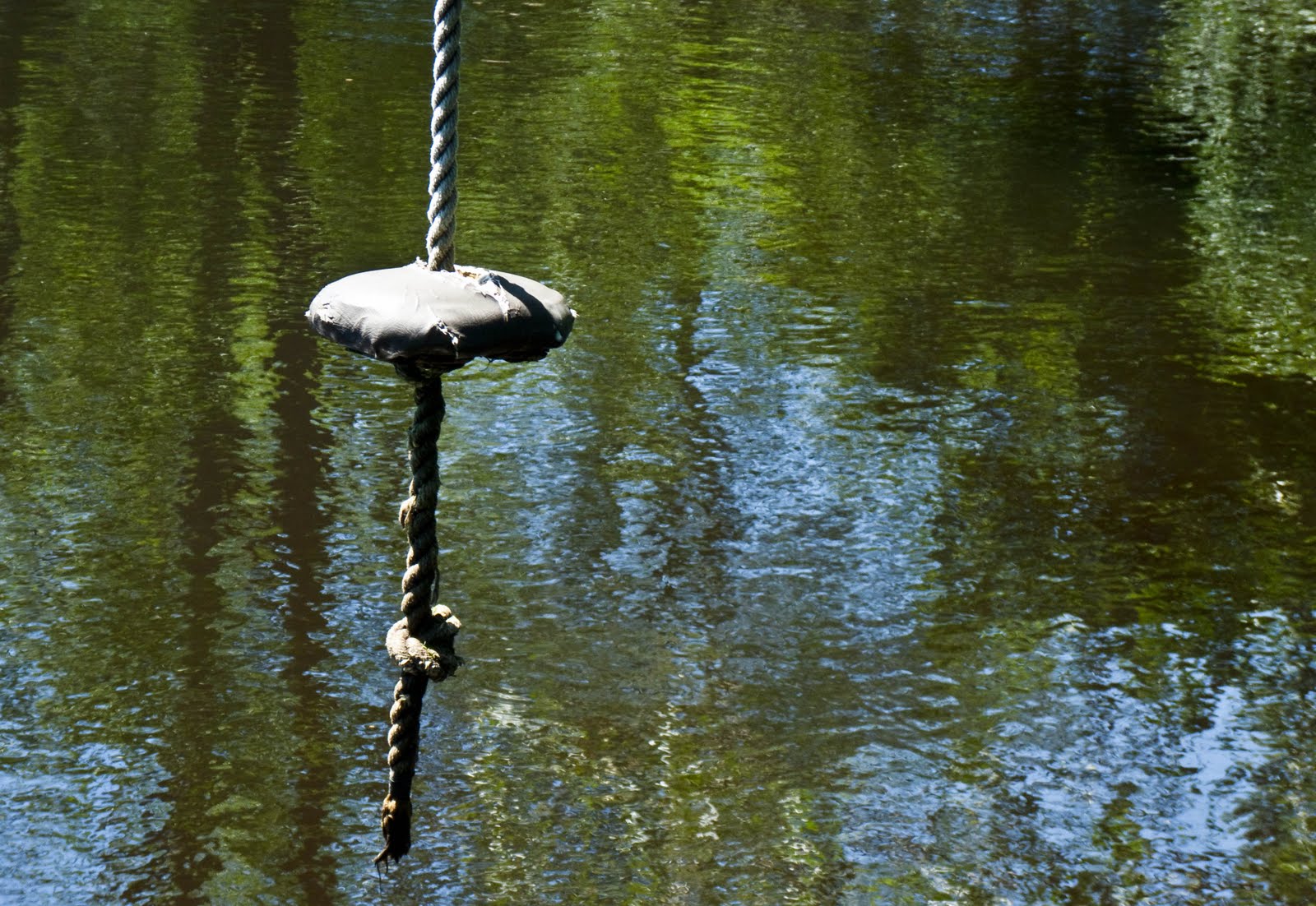 Pond Rope Ladder Looking for Strawberries...: Nothing says