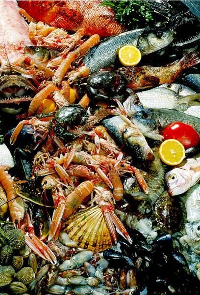 [seafood.jpg]