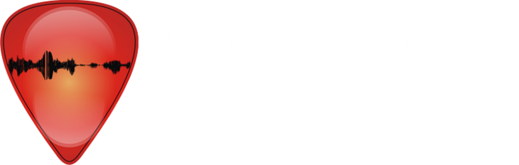 Flávio Luiz Schiavoni