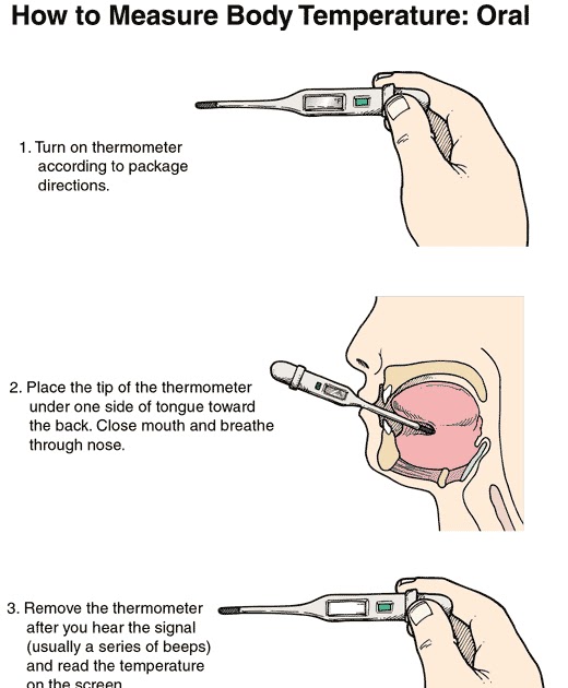 Statistics 2010/2011: Introduction