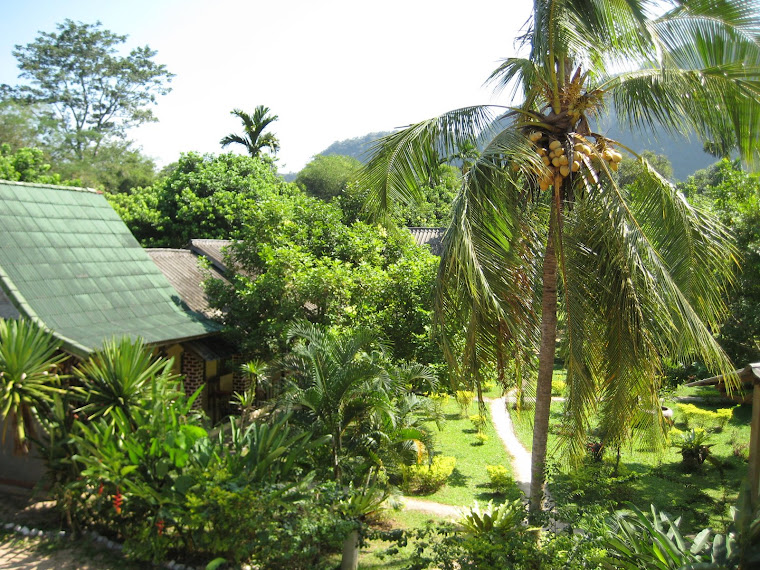 Our Guest house in Khao Sok