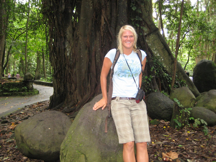Lots and lots of big twisted trees!