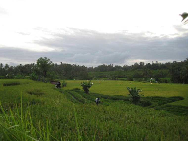 I wasn't kidding when I said lots of rolling green hills