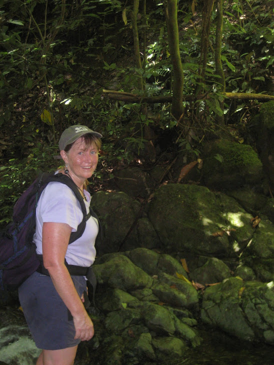Hiking to the waterfall above the hot springs.