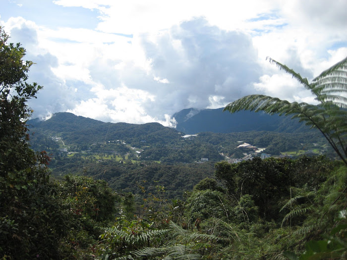 Trail 1