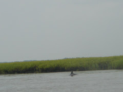 On the way to the ocean