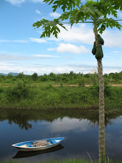 View from the inlaws house, Chumphon