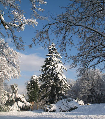 Snowy England, January 2010