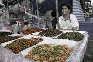 Fried insects for sale