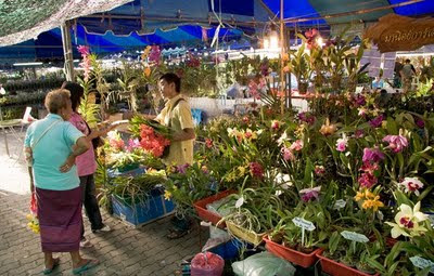 Phuket Flower Fair