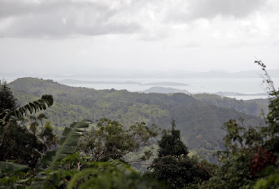 View looking NE from the highest hill in Phuket