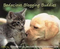 Bodacious Blogging Buddies Award!