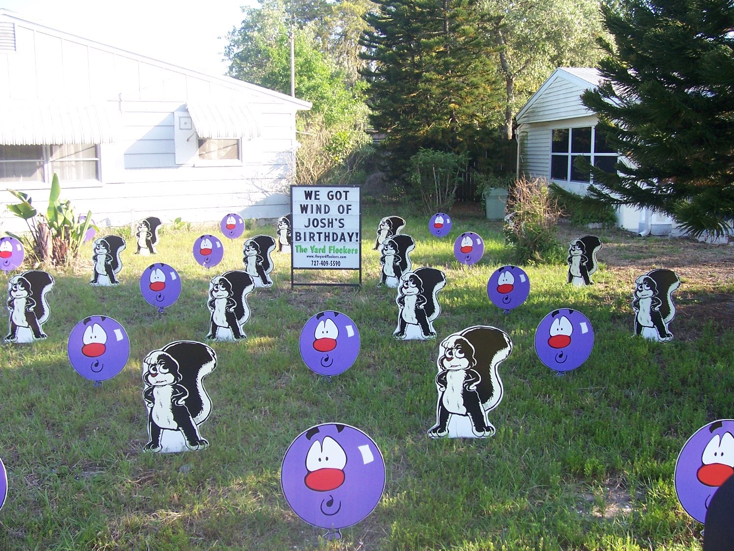 *THE YARD FLOCKERS* Pinellas County, Fla 7274095590 WWW