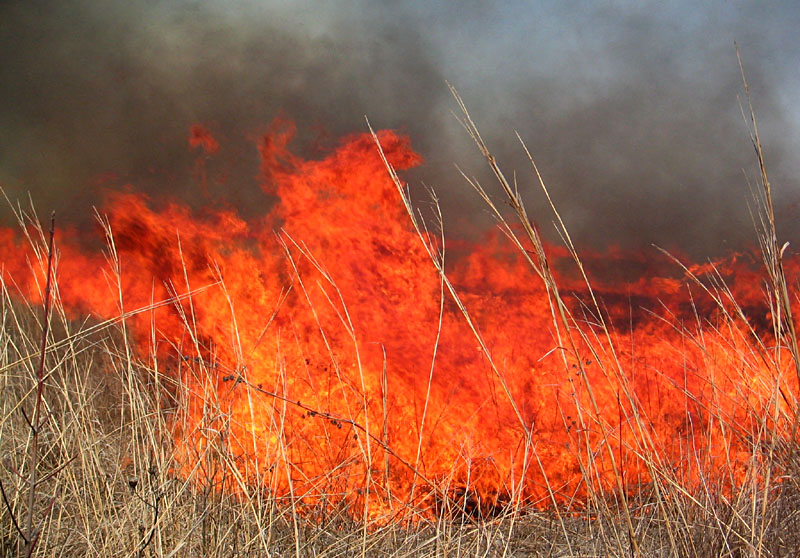 Lucas County Historical Society Of prairie fires and other disasters