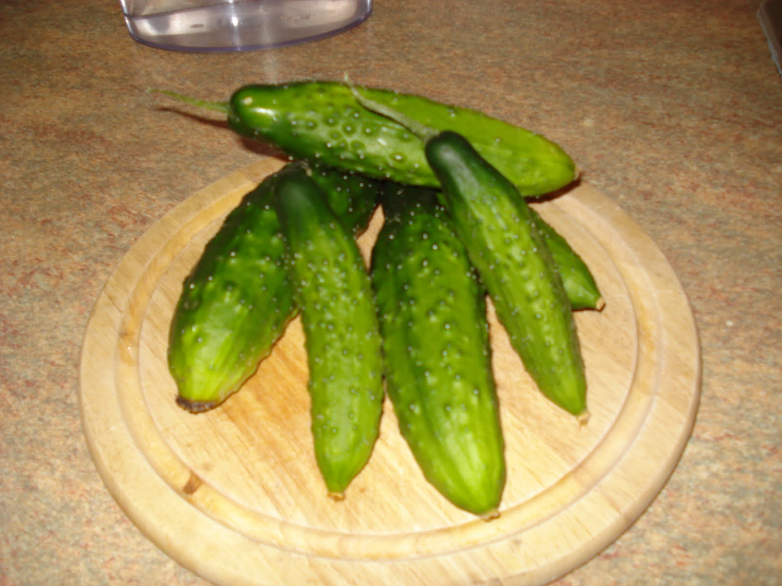 Our New Life in the Country Cucumbers, Melons and Mud
