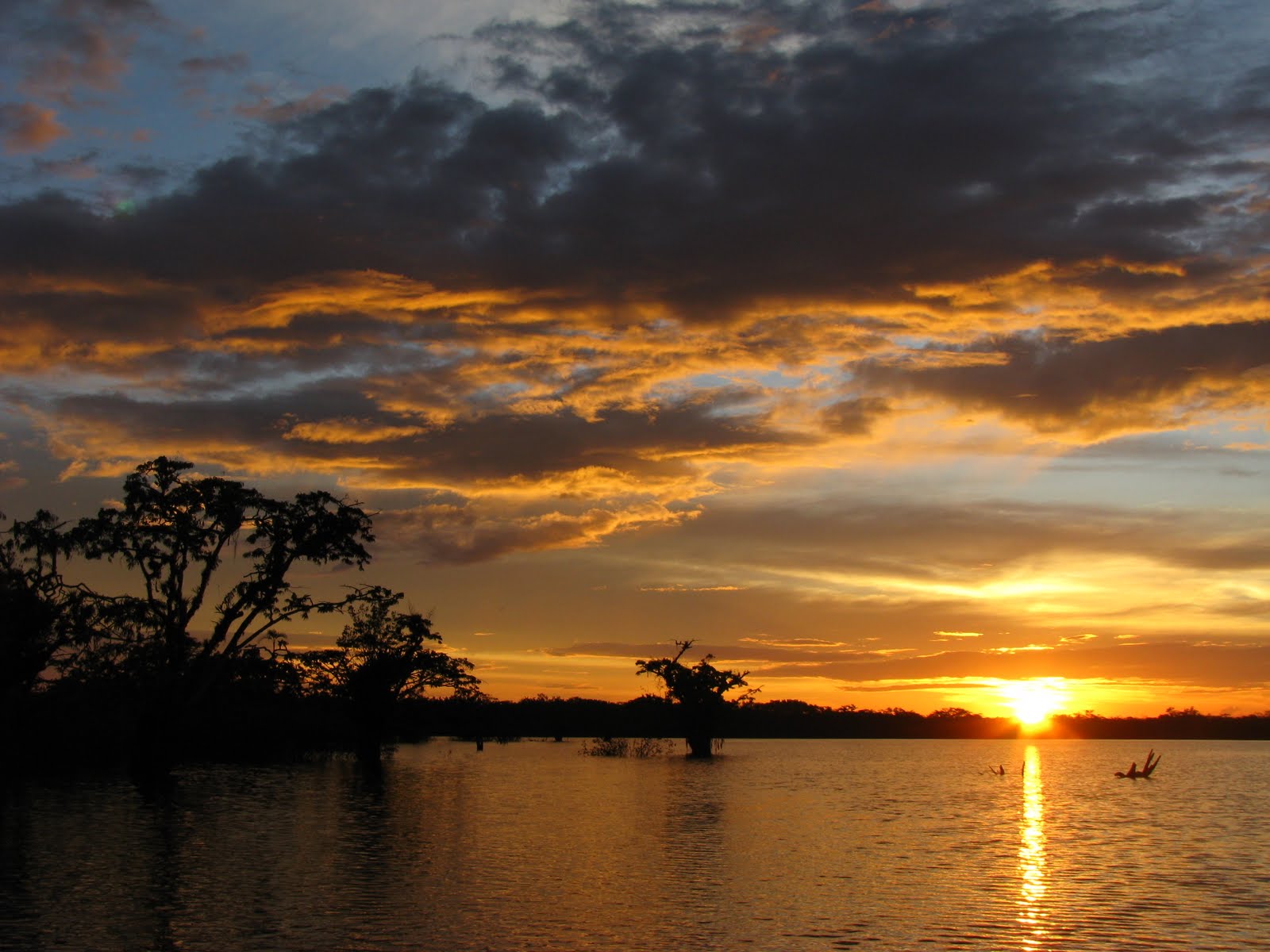 Imagine Ecuador Travel Agency Banos Jungle Tours Cuyabeno