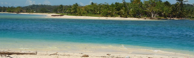 passage de l'ile aux nattes