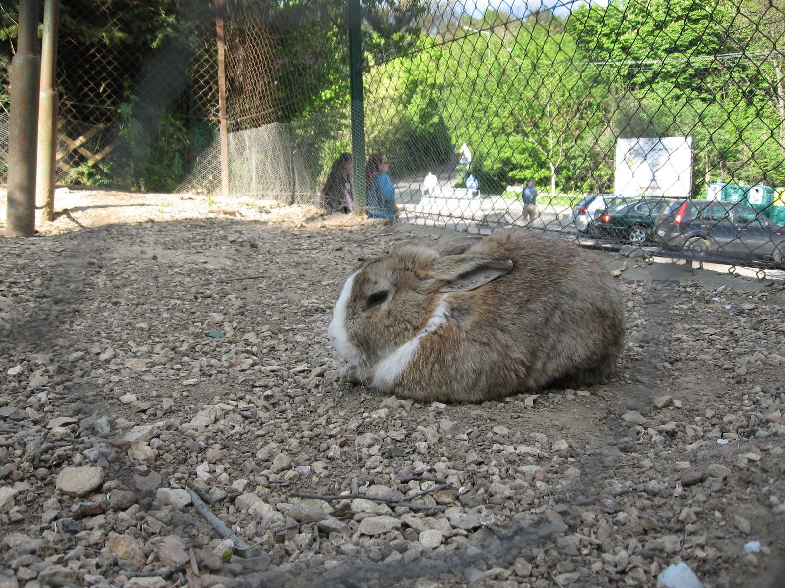 [IMG_3517.jpg]