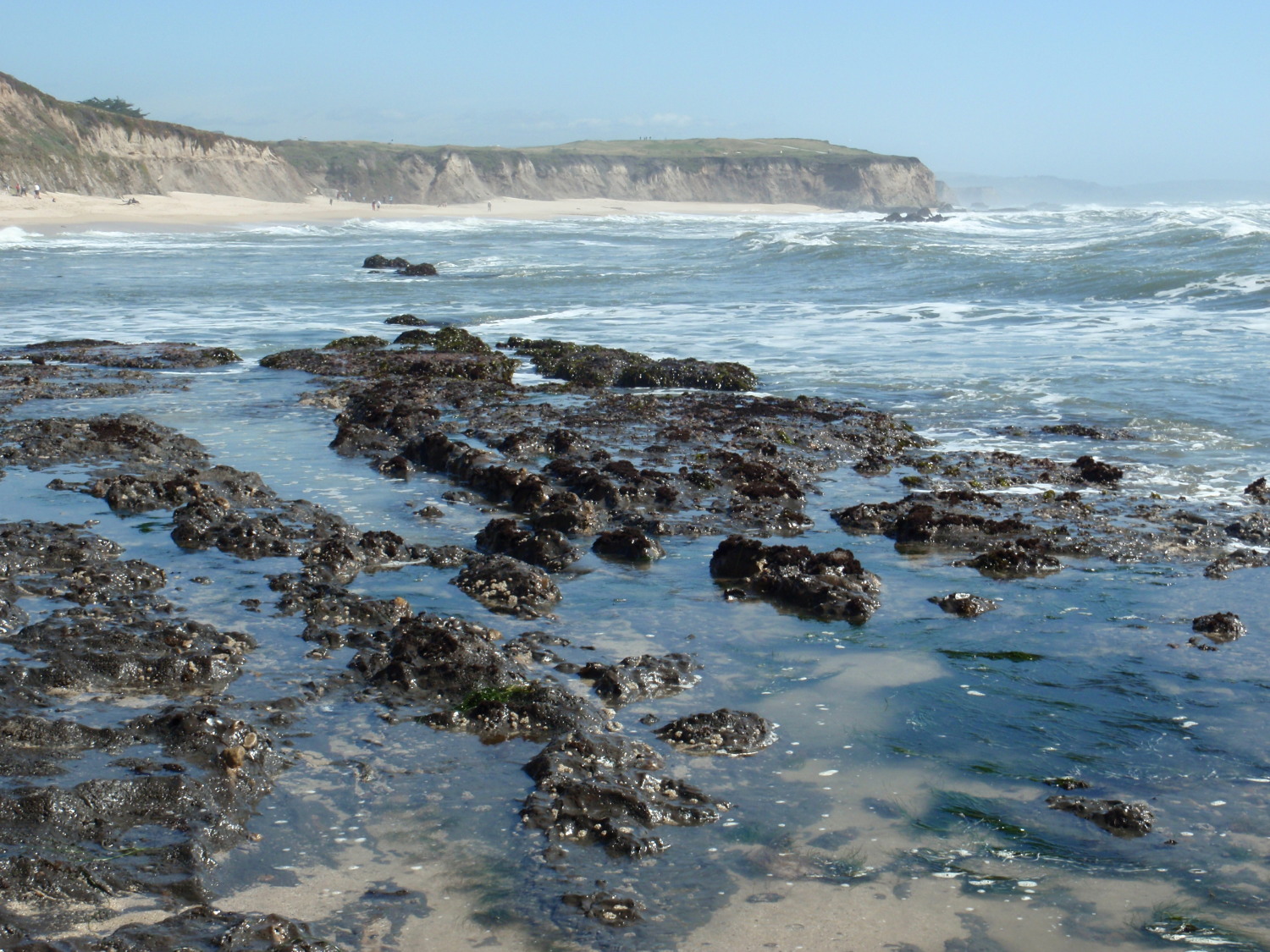 Get Carons beach house Free HD