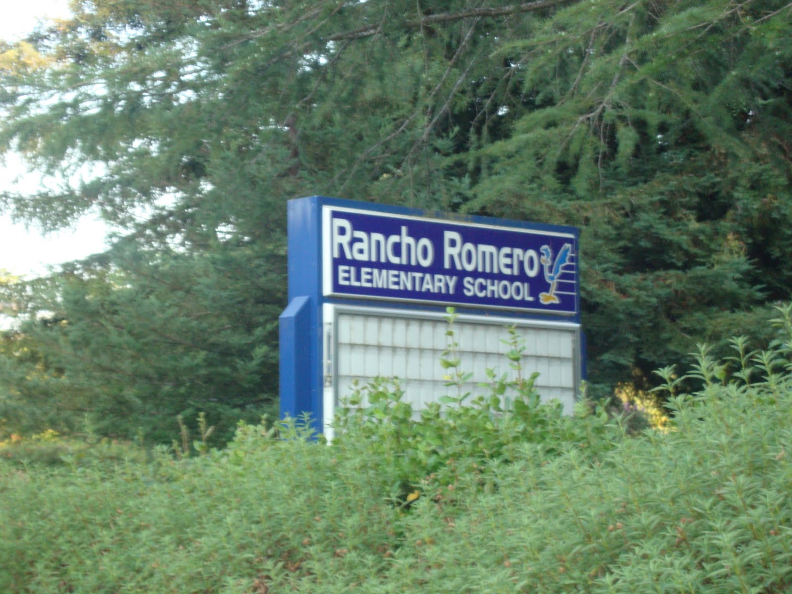 Reflections A Look Back at the Magic of Childhood Rancho Romero