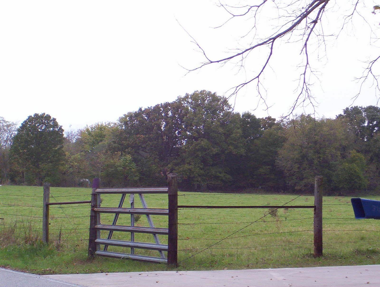 [The+field.jpg]
