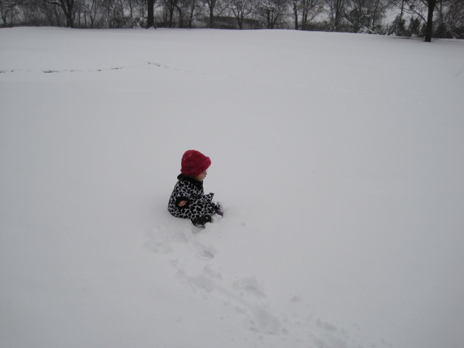 [IMG_0569.jpg]