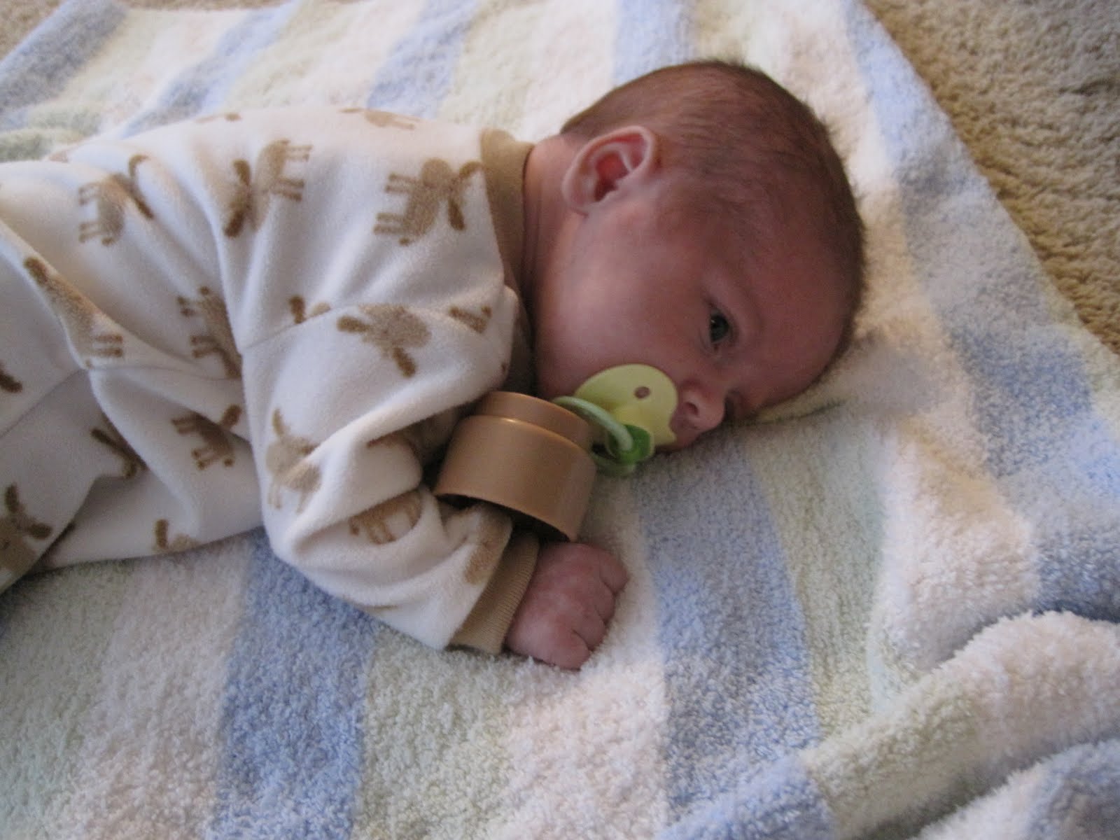 [IMG_0567.jpg]