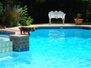 [Lily+swimming+1.JPG]