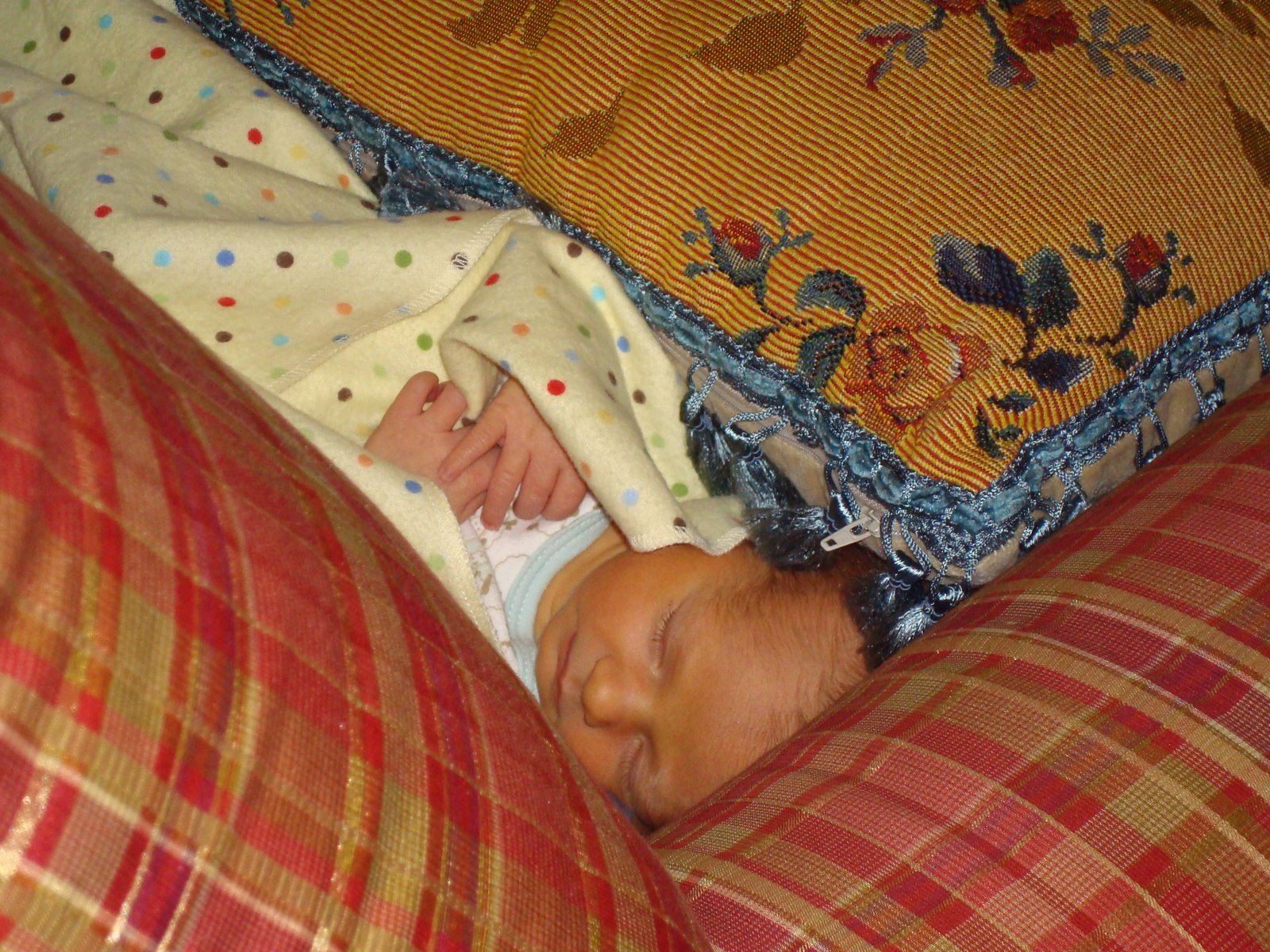 [DSC00859.JPG]