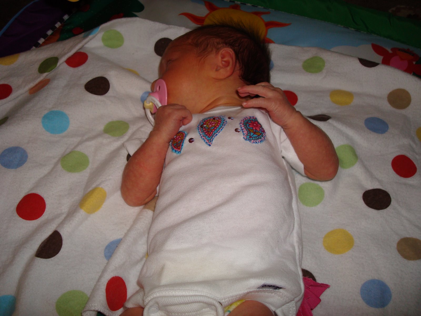 [DSC00889.JPG]