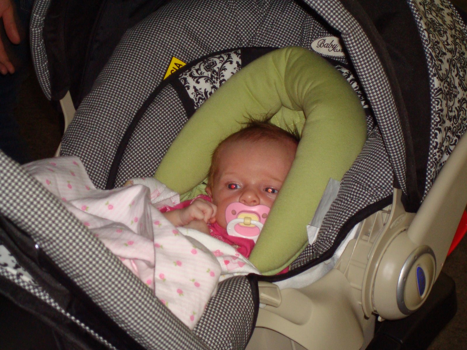 [DSC01124.JPG]