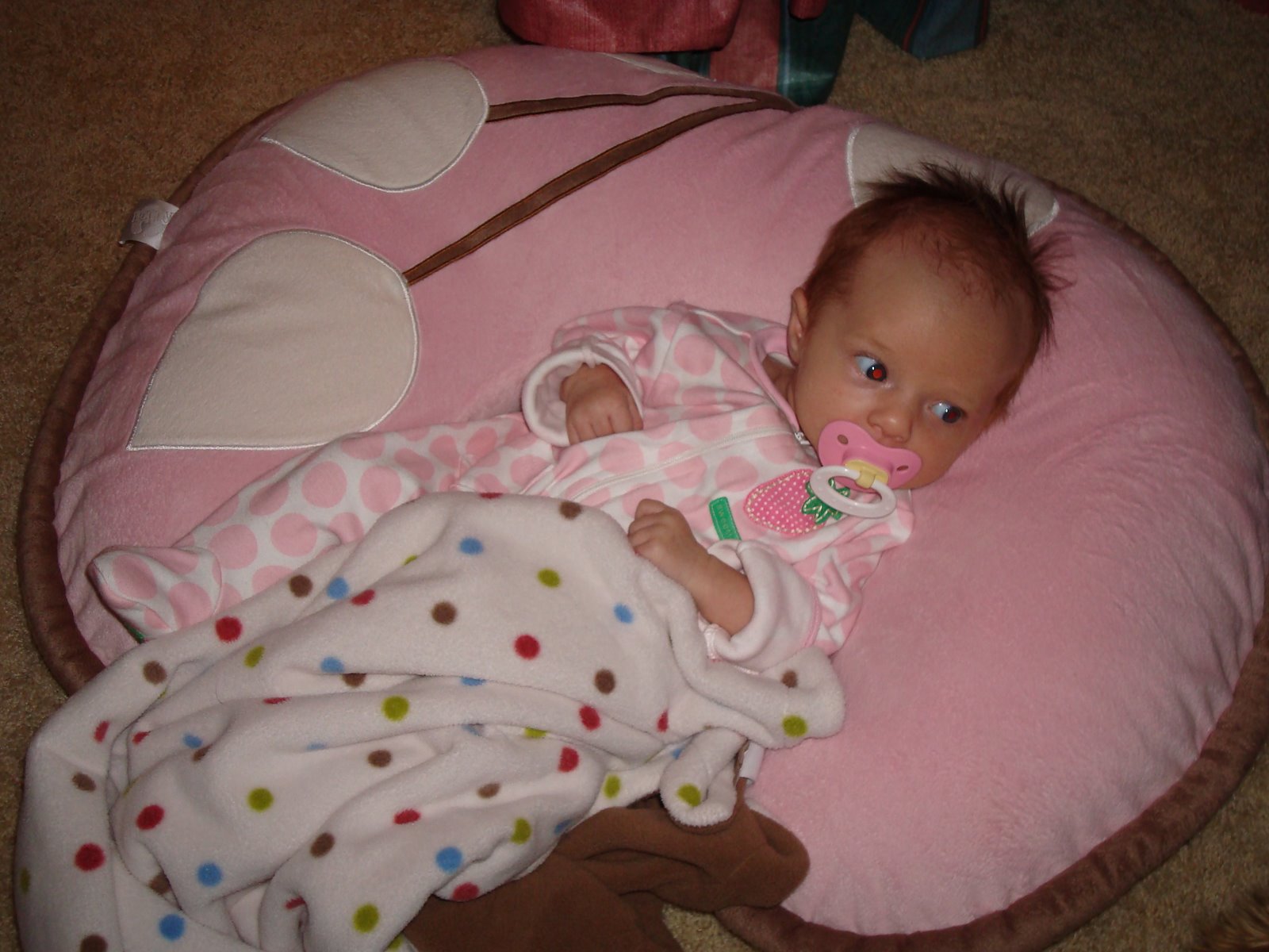 [DSC01184.JPG]