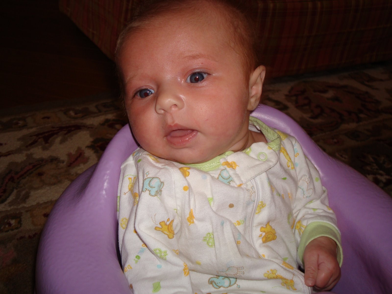 [DSC01421.JPG]