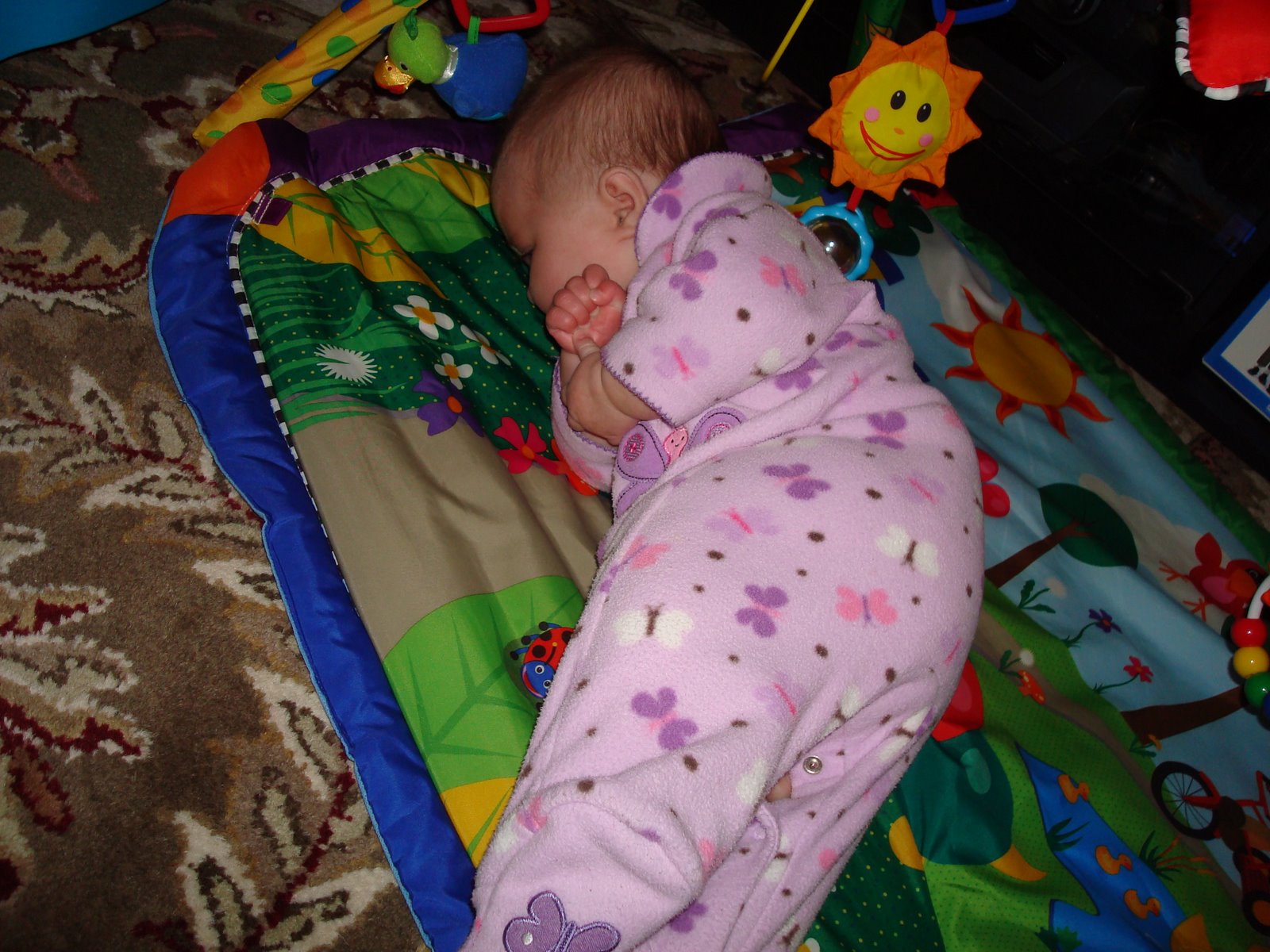 [DSC01845.JPG]