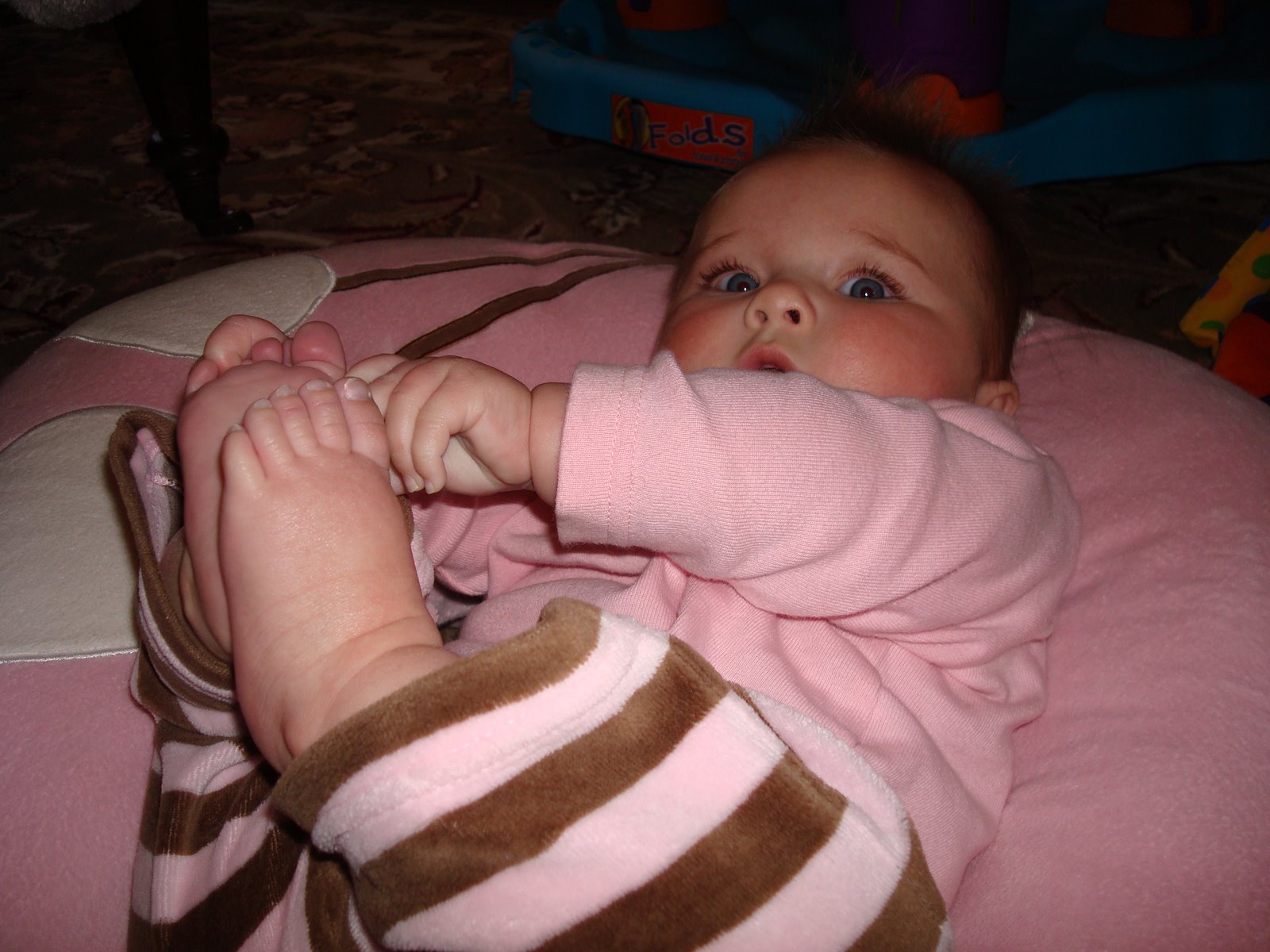 [DSC02012.JPG]