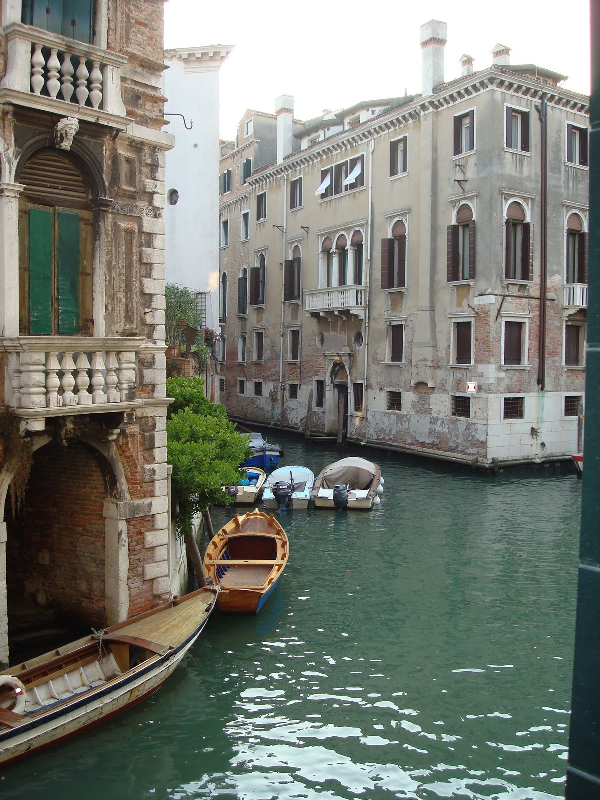 [DSC03736.JPG]