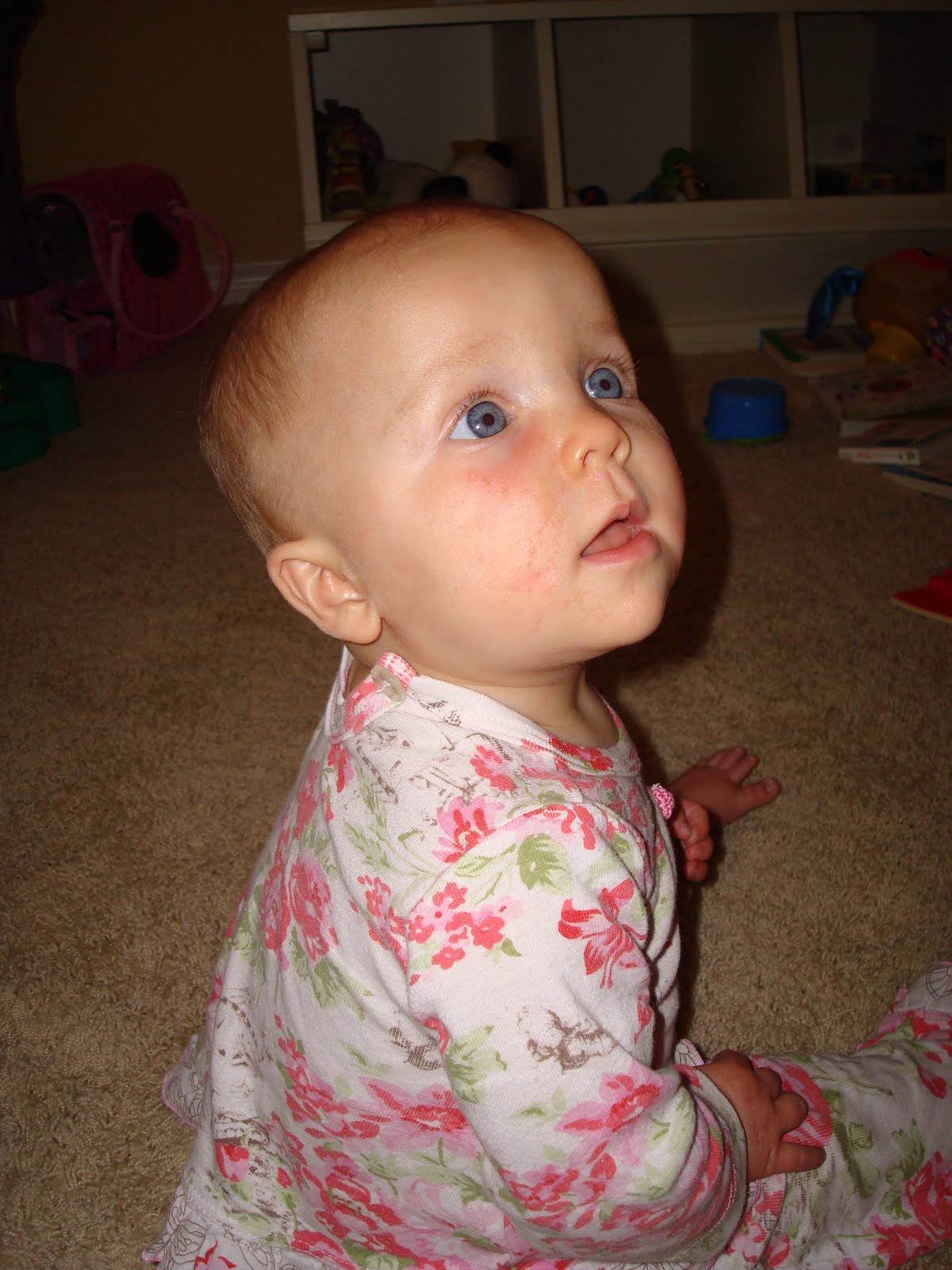 [DSC03865.JPG]