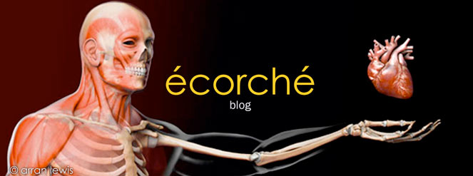 ecorche medical anatomical scientific 3D illustration