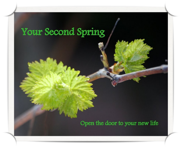 Your Second Spring