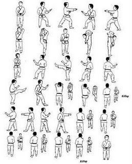 IAM: Gerakan gerakan TAEKWONDO