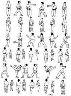 IAM: Gerakan gerakan TAEKWONDO