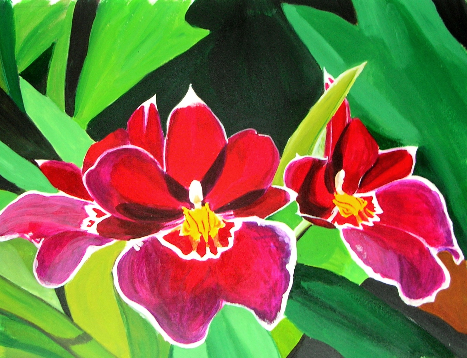 Orchid Paintings