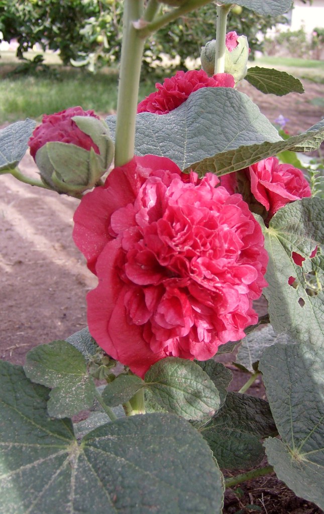 [Summer2009+341.jpg]