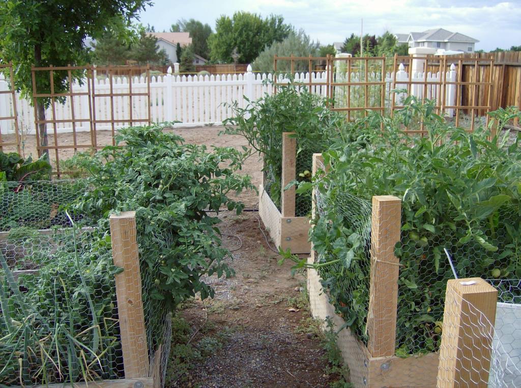 [Summer2009+347.jpg]