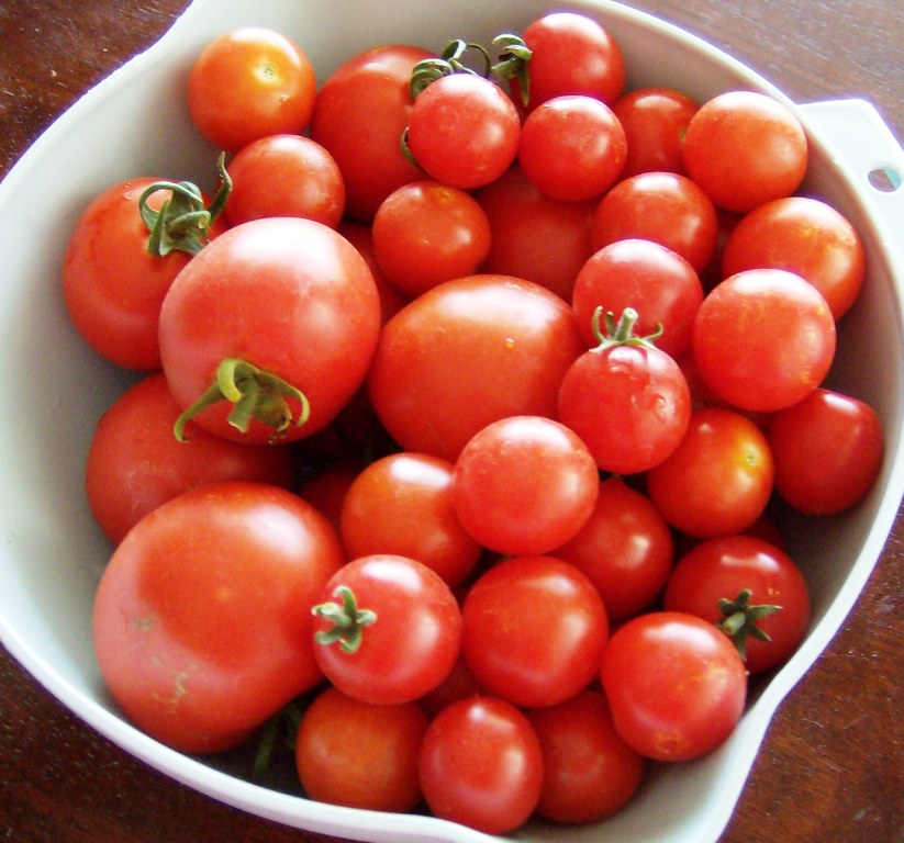 [Summer2009+566.jpg]