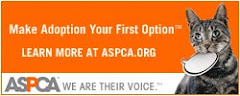 Join me & support the ASPCA!