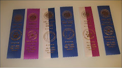 AKC: Includes Best of Breed,  Vermont, June 09