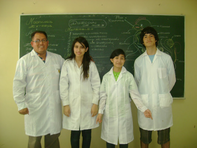 V OLIMPIADA PERUANA DE BIOLOGIA 2010