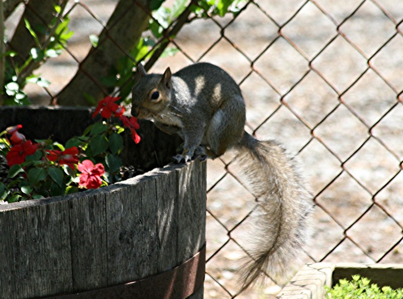 [04-30-08+044+Standard+e-mail+view.jpg]