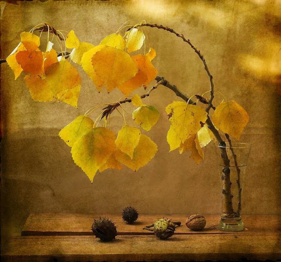 [12333722522xQNTrj.jpg]